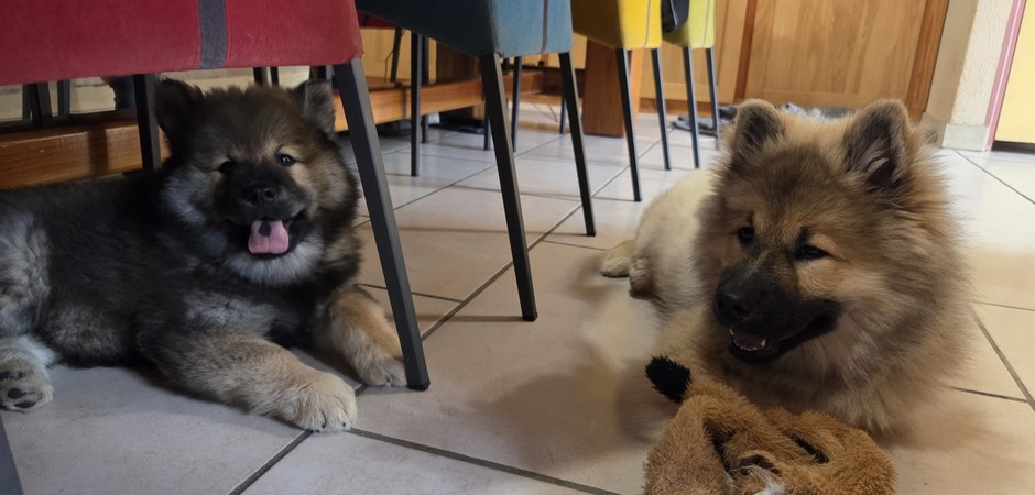 Groupe 28-09-2025 (5).jpg